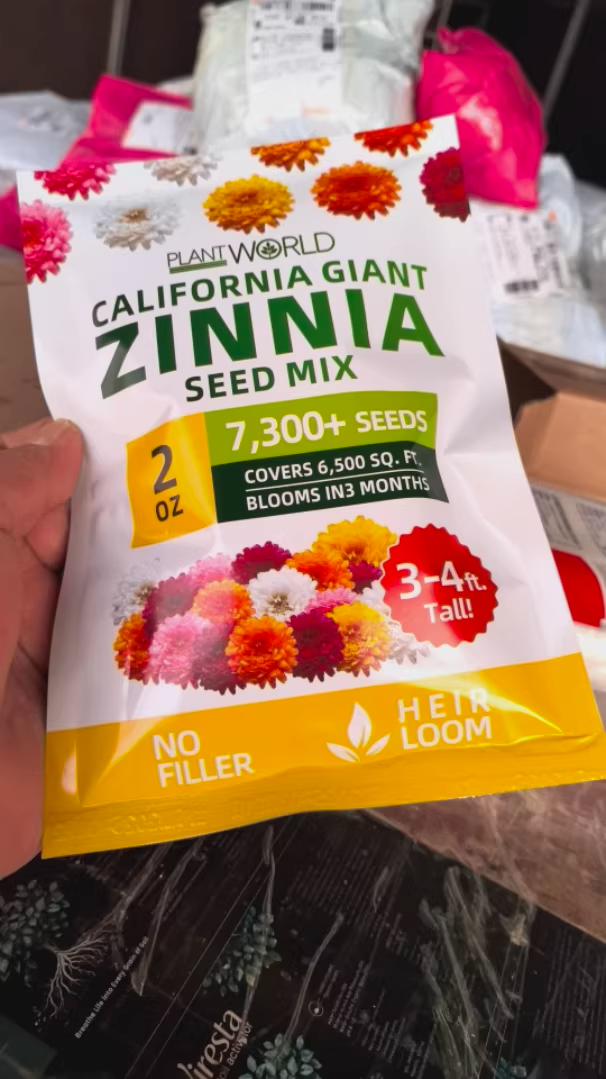 🌺Last Day clearance🌺Double Zinnia Mixed Color Seeds and deer-resistant! 🦌-ZQ