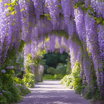 🌸WISTERIA Seeds - THE GARDEN’S CASCADING BEAUTY ALL YEAR ROUND-DAN