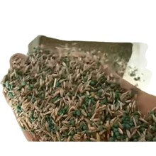 Grass Seed and Shade Grass, Grows quickly and withstands all seasons, perfect for high-quality turf and golf courses, High Germination Grass Seeds Grown in USA-LIN