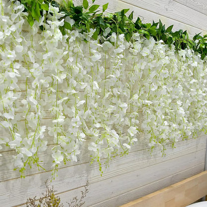 🌸WISTERIA Seeds - THE GARDEN’S CASCADING BEAUTY ALL YEAR ROUND-DAN