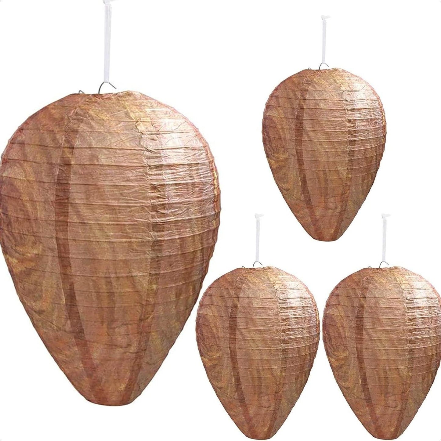 🔥Hot Sale 49% OFF-🐝🚫 Wasp Nest Decoy 4-Pack – Natural Outdoor Repellent - 4 PCS ( $ 4.9 / count)-HS