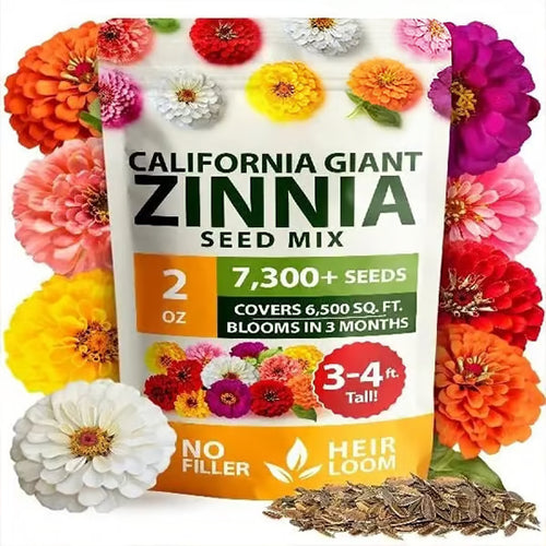 🔥Zinnia Seeds - Pure Seeds - No Filler - Heirloom Flower Seeds-DAN