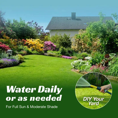 Grass Seed and Shade Grass, Grows quickly and withstands all seasons, perfect for high-quality turf and golf courses, High Germination Grass Seeds Grown in USA-LIN