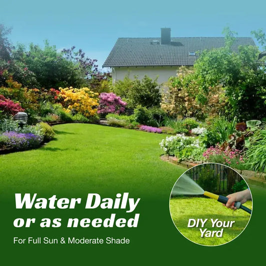 Grass Seed and Shade Grass, Grows quickly and withstands all seasons, perfect for high-quality turf and golf courses, High Germination Grass Seeds Grown in USA-LIN
