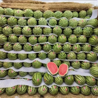 🔥Last day clearance🍉Giant Ruby Watermelon Seeds (Non-GMO)🍉-ZQ