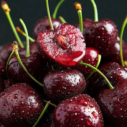 Giant Black Cherry Seeds | Sweet & Juicy Homegrown Fruit | Non-GMO Heirloom Variety-AJZ