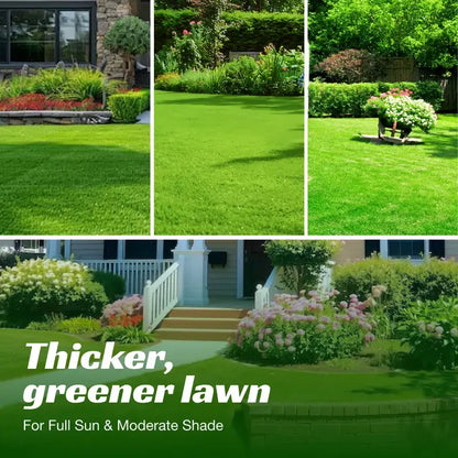 Grass Seed and Shade Grass, Grows quickly and withstands all seasons, perfect for high-quality turf and golf courses, High Germination Grass Seeds Grown in USA-LIN