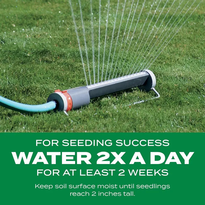 Grass Seed and Shade Grass, Grows quickly and withstands all seasons, perfect for high-quality turf and golf courses, High Germination Grass Seeds Grown in USA-LIN