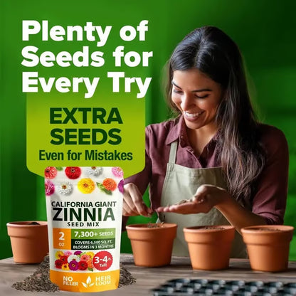 🔥Zinnia Seeds - Pure Seeds - No Filler - Heirloom Flower Seeds-DAN