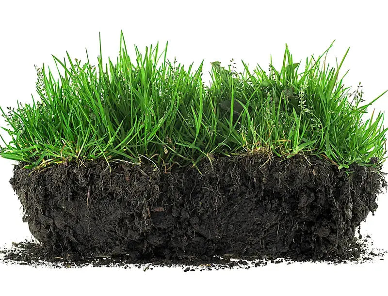 Viresta Soil Rejuvenator, Concentrated Humic Acid Formula for Lawns and Horticultural Plants, Produces 266 Gallons of Fertilizer Lawn and Horticultural Soil Conditioner—Plant Nutrient, Concentrated Humic Acid-8WX