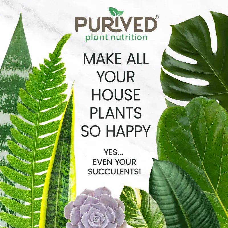 Houseplant Food |  Makes 50 Gallons | All-Purpose Plant Fertilizer for Potted Indoor Houseplants | Easy to Use | Made in USA-8WX