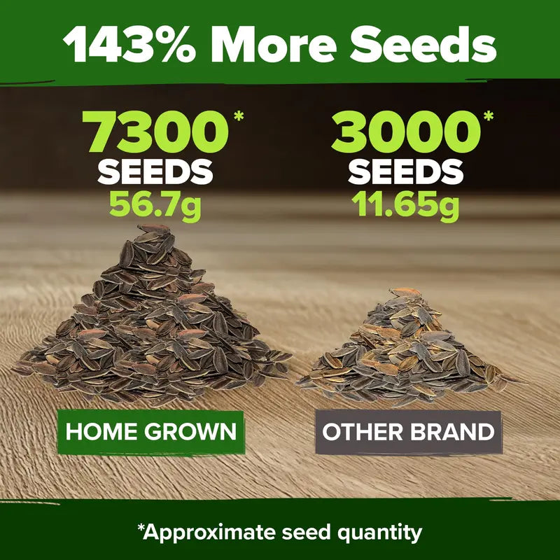 【Spring Sale】Zinnia Seeds - Pure Seeds - No Filler - USA Heirloom Flower Seeds-8WX