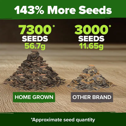 【Spring Sale】Zinnia Seeds - Pure Seeds - No Filler - USA Heirloom Flower Seeds-8WX
