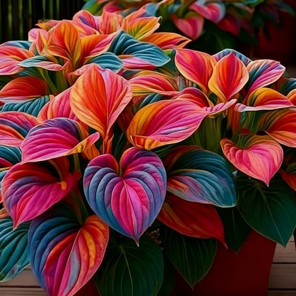 Rare Red White Blue Hosta Seeds – Patriotic Perennial Heart-Shaped Foliage for Shade Gardens-AJZ