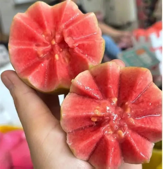Guava seeds, suitable forpotted plants,greenhouses andoutdoor gardens,easy-to-cultivate fruit treeseeds-DAN