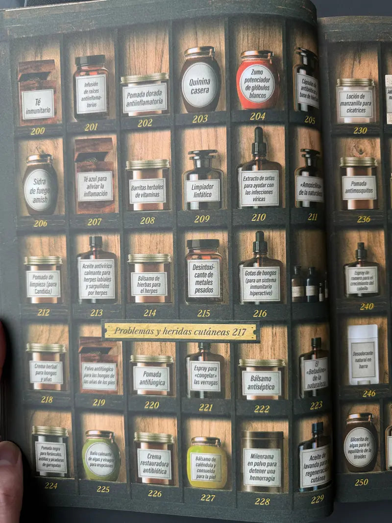 The Forgotten Remedies Our Grandparents Relied On Discover 250 powerful home remedies that families used long before pharmacies replaced apothecaries-8WX