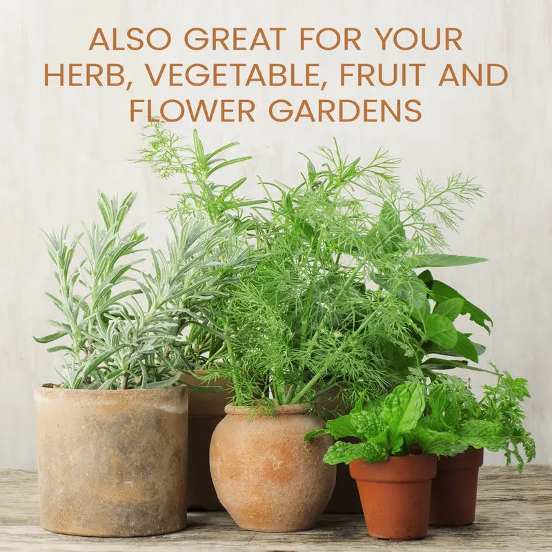 Houseplant Food |  Makes 50 Gallons | All-Purpose Plant Fertilizer for Potted Indoor Houseplants | Easy to Use | Made in USA-8WX