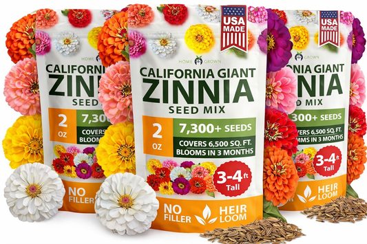 HOME GROWN Zinnia Seeds for 2026 - California Giant Mix - 7,300+ (2 oz) Plant Wildflower Blooms Bulk Seeds for Planting Flowers Outside - Pollinator Gardens (Zinnia elegans)-YAO