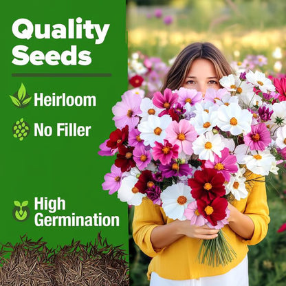 🔥Zinnia Seeds - Pure Seeds - No Filler - Heirloom Flower Seeds-DAN