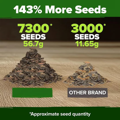 🔥Zinnia Seeds - Pure Seeds - No Filler - Heirloom Flower Seeds-DAN