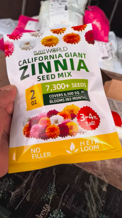 🌺Last Day clearance🌺Double Zinnia Mixed Color Seeds and deer-resistant! 🦌-ZQ