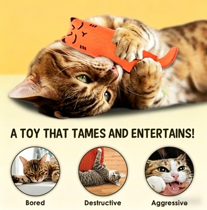 🐱 5-Pack Catnip Plush Cat Toys: The Ultimate Interactive Playtime Solution for Every Feline Friend!-LIN