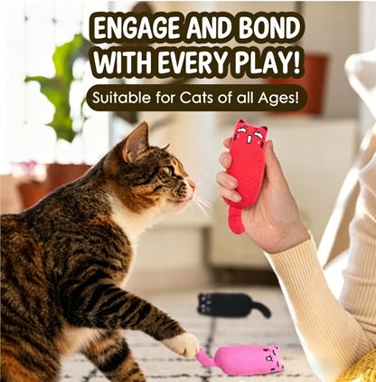 🐱 5-Pack Catnip Plush Cat Toys: The Ultimate Interactive Playtime Solution for Every Feline Friend!-LIN