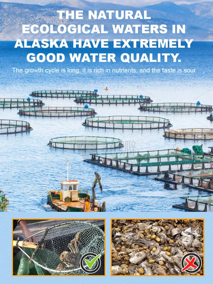 Alaskan Snow Crab Crisps – Ready-to-Eat High-Protein Seafood Snack-8WX
