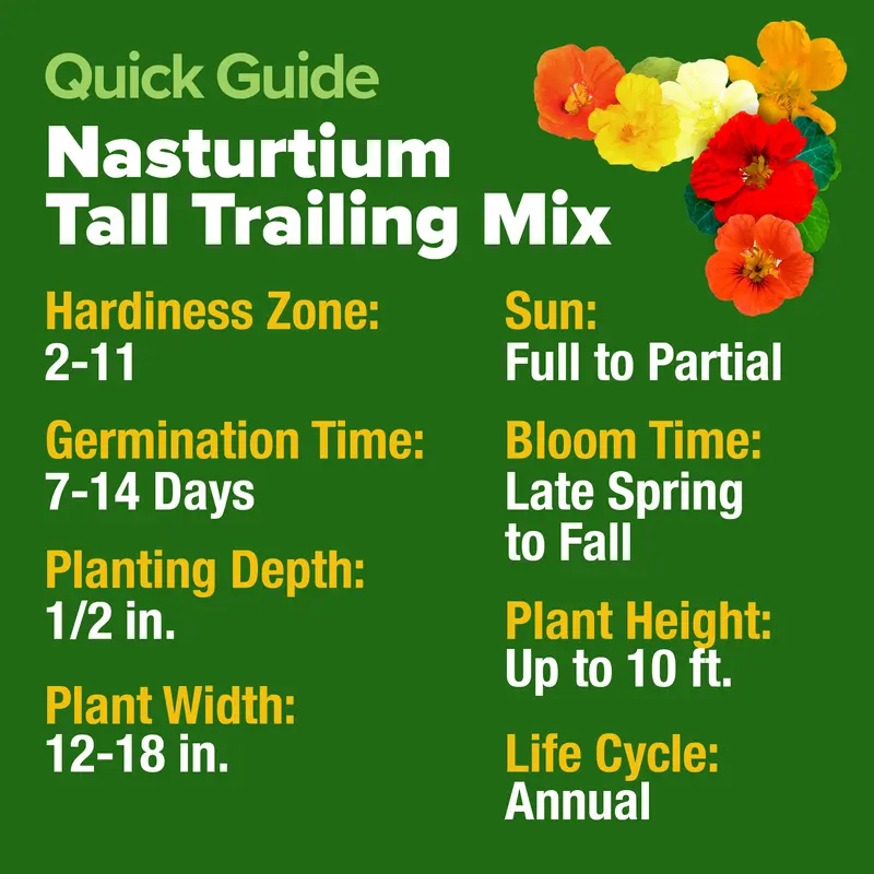 Nasturtium Tall Trailing Mix – 250+ Heirloom Seeds | Multicolored Blooms, High Coverage, Easy to Grow-LIN