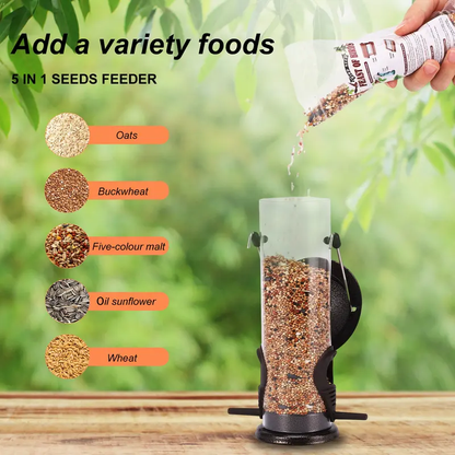 Sturdy Metal Bird Feeders 2 Pack for Outdoor Hanging with 4 Bags of High-Quality Seed Mix Oat Millet Buckwheat Oil Sunflower Wheat Durable Gift Resistant to Squirrels-LIN