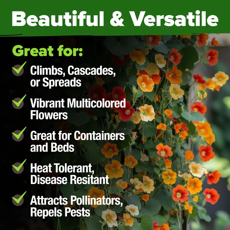Nasturtium Tall Trailing Mix – 250+ Heirloom Seeds | Multicolored Blooms, High Coverage, Easy to Grow-LIN