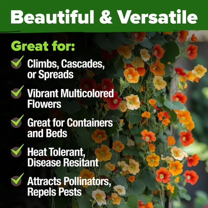 Nasturtium Tall Trailing Mix – 250+ Heirloom Seeds | Multicolored Blooms, High Coverage, Easy to Grow-LIN
