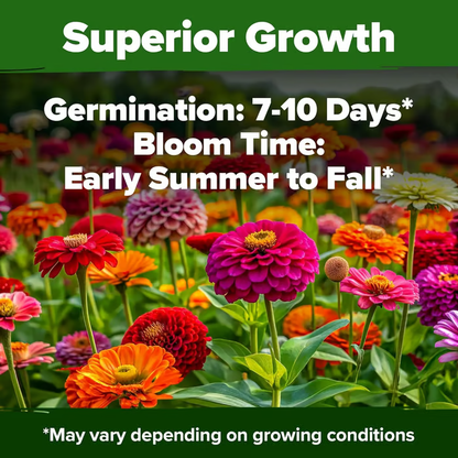 🌺Zinnia California Giant Mix - 7,300+ (2 oz) | No Filler - USA Heirloom Flower Seeds-LIN