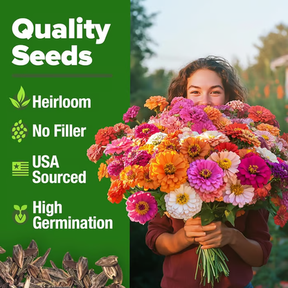🌺Zinnia California Giant Mix - 7,300+ (2 oz) | No Filler - USA Heirloom Flower Seeds-LIN