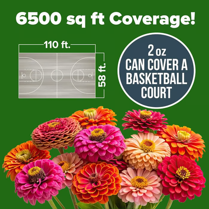 🌺Zinnia California Giant Mix - 7,300+ (2 oz) | No Filler - USA Heirloom Flower Seeds-LIN