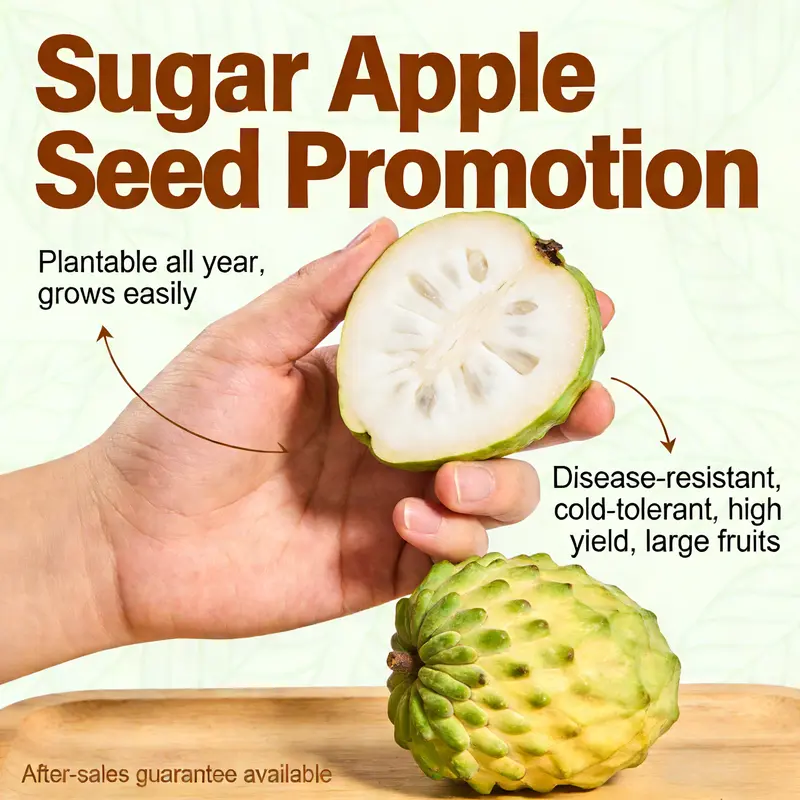 Sugar Apple seeds, suitable for greenhouses and outdoor gardens, easy-to-cultivate fruit tree seeds.-LIN