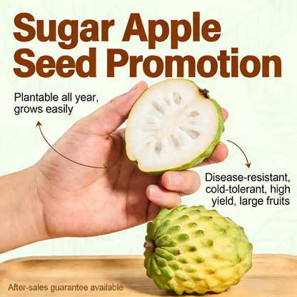 Sugar Apple seeds, suitable for greenhouses and outdoor gardens, easy-to-cultivate fruit tree seeds.-LIN